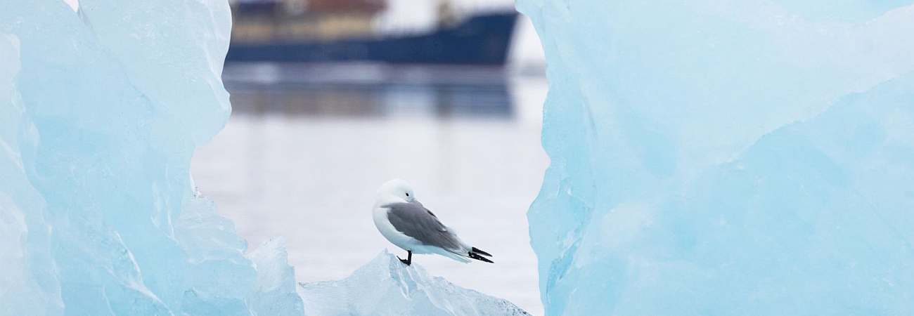Foto: PolarQuest